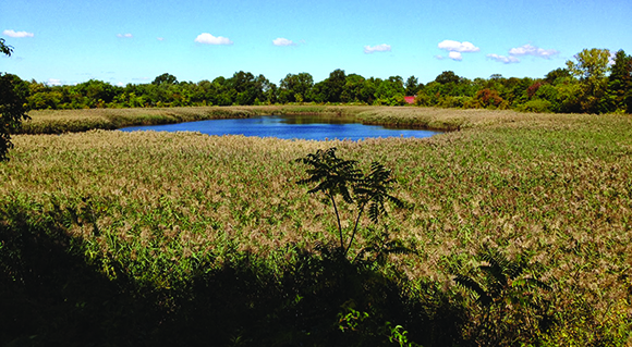 BERRY BITS: Ridgewood Reservoir plan is no “dam” good