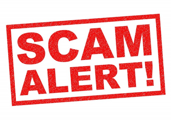 Berry Bits: 'Tis the season for scammers