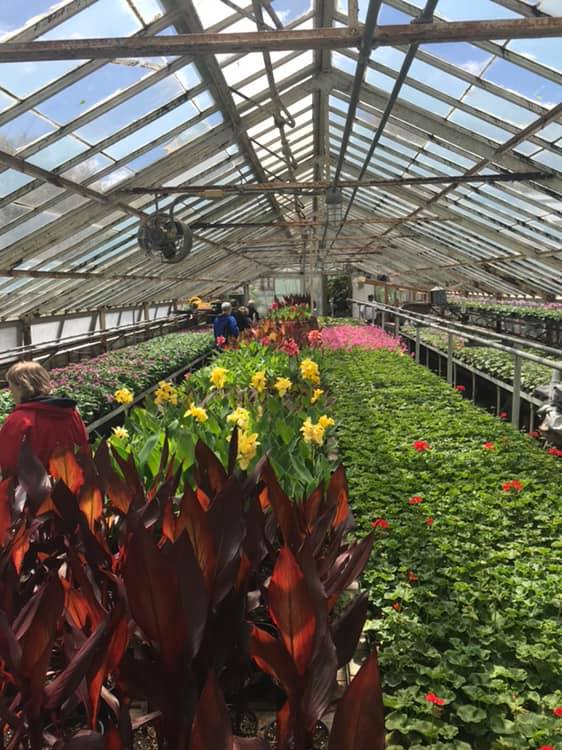 First of its kind tour of Forest Park and its Greenhouse