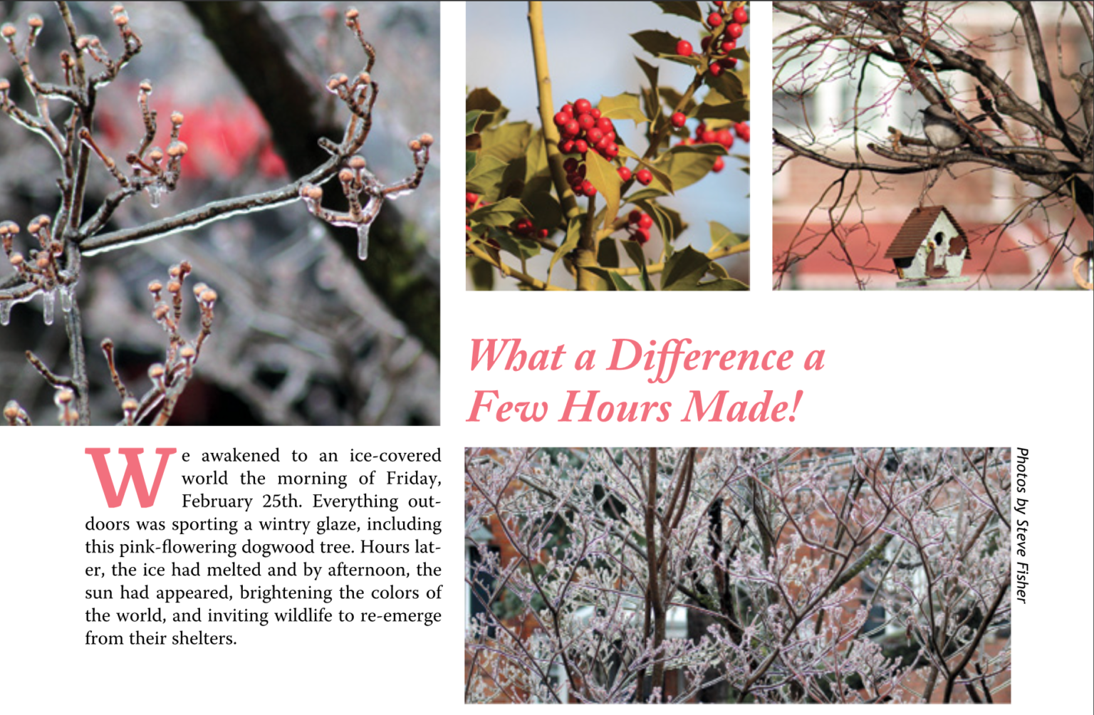 What a difference a few hours made! The Juniper Park Civic Association